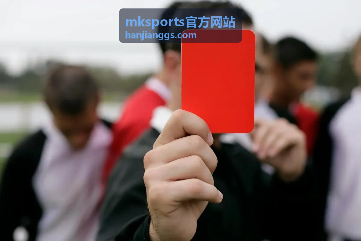 mksports官方网站赛事现场画面